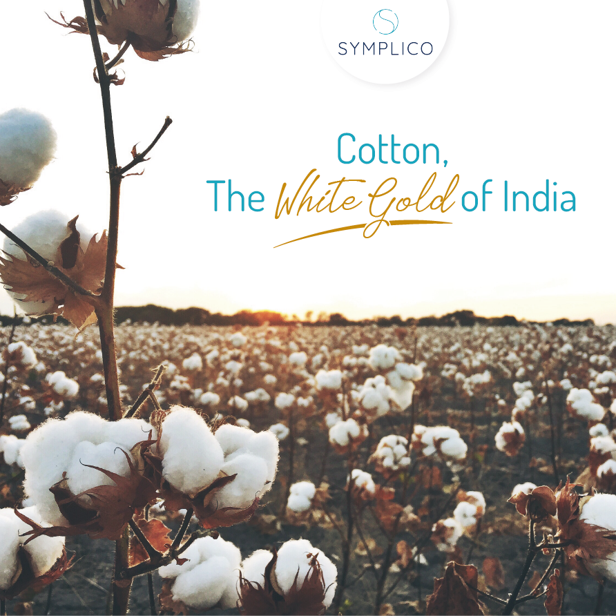 cotton - white gold of india