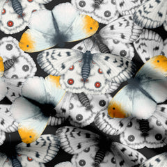 Butterfly Kaleidoscope Black and White Print Fabric