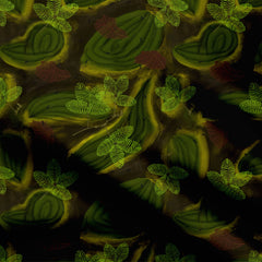 Forest floor lush green tropical Print Fabric