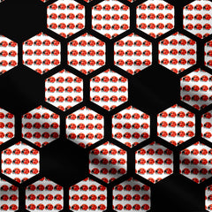 Hexagon ladybugs Print Fabric