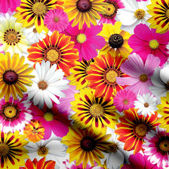 Sunflower Serenade Print Fabric